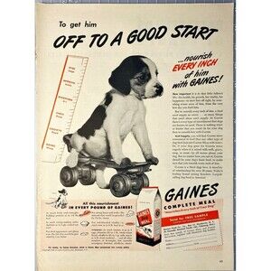 Gaines Dog Meal "Get Him Off to a Good Start" Beagle Puppy Vintage Print Ad 1946